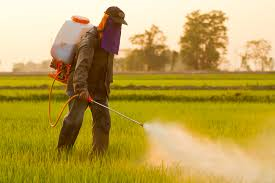 Pesticides interdits en Europe mais exportés dans les pays tiers : un véritable non sens !