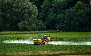Le 3e pesticide le plus utilisé interdit dès aujourd’hui ?