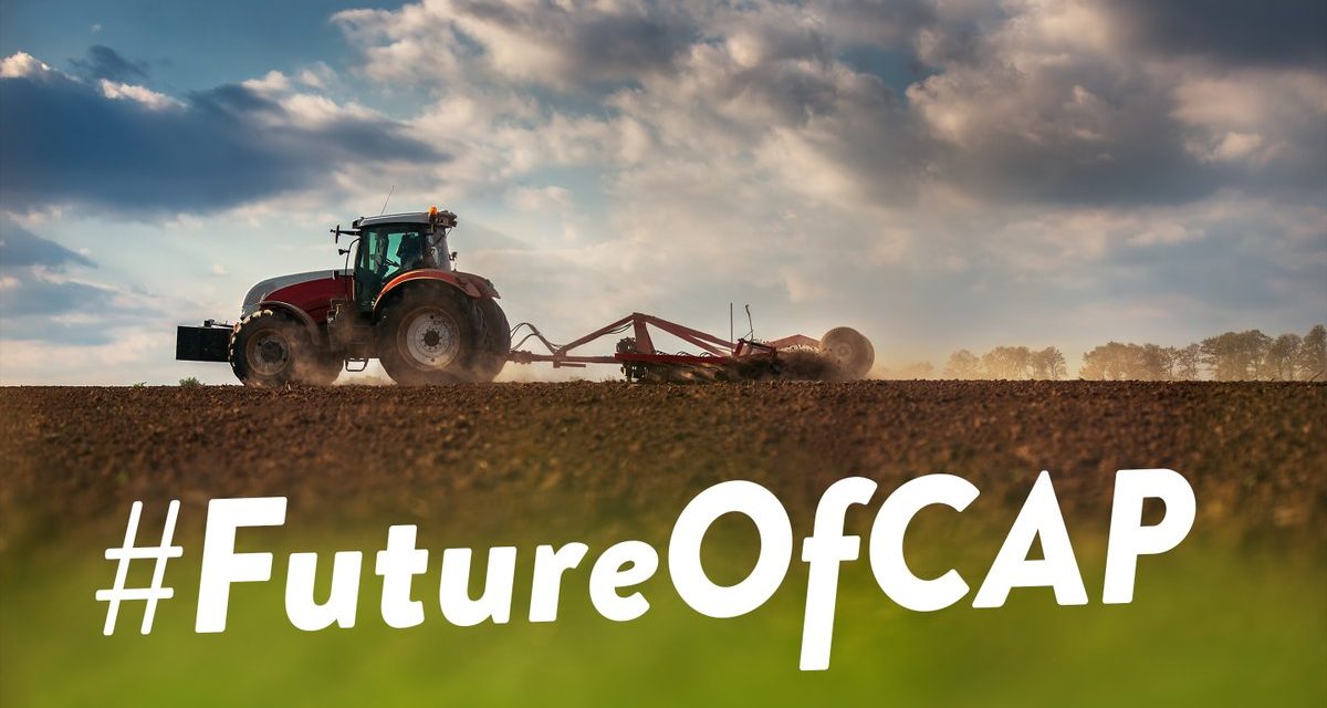 PAC 2023 : la France veut-elle réellement un Frexit agricole ?
