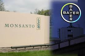 Bayer/Monsanto : La Commissaire Vestager répond aux eurodéputés