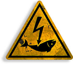 Pêche électrique : il est temps de couper le courant !
